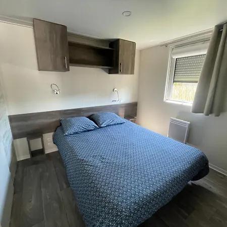 Bois * Torcy-le-Petit (Aube)