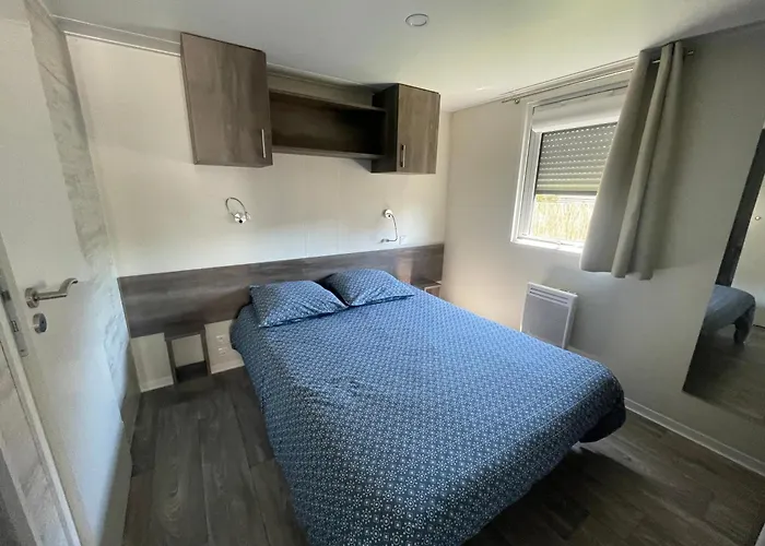 Bois * Torcy-le-Petit (Aube)